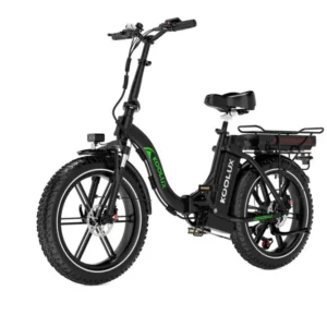 BK6S PROS 750W High-end version Folding E-Bike