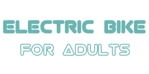 electric bike for adults